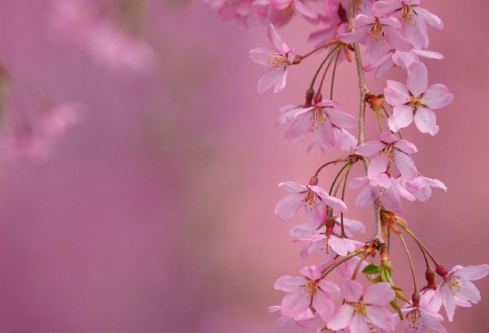 1688577198426631.png image.png