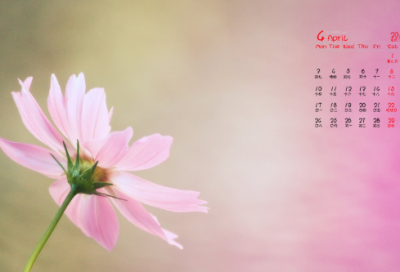 ​狗猫鼠读后感