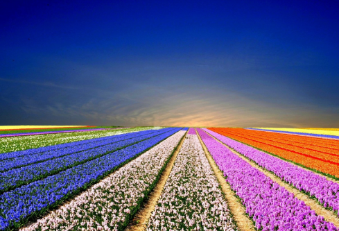 1688578577416303.png image.png