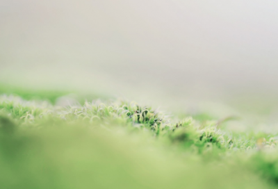 ​最新强制执行申请书