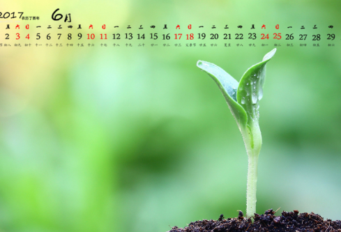 1688580635641879.png image.png