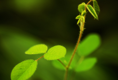 1688581664569805.png image.png