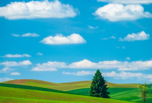 1688582007887146.png image.png