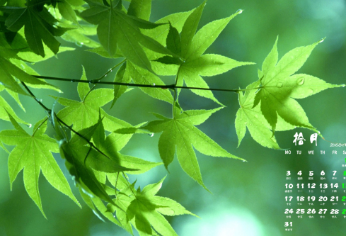 1688582522983571.png image.png