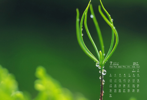 1688582865796010.png image.png