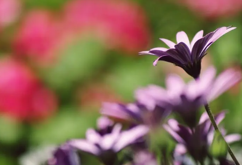 1688583904990373.png image.png