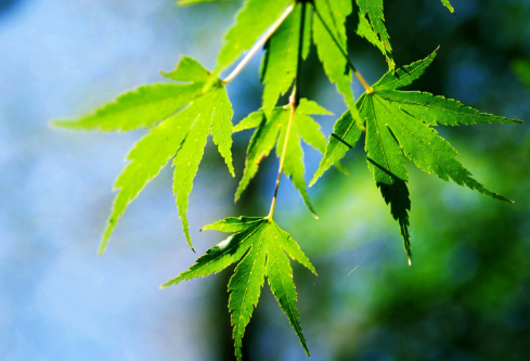 1688584762799297.png image.png