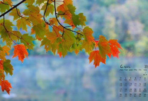 1688584933523908.png image.png