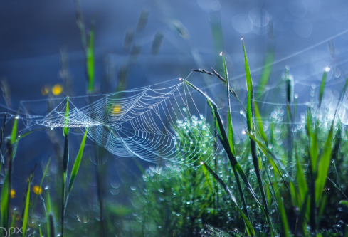 1688585619324819.png image.png