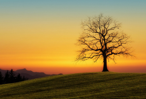 1688586306360792.png image.png