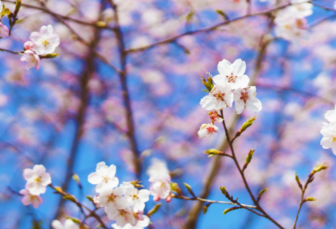 1688587164798774.png image.png