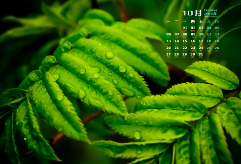 1688587506522532.png image.png