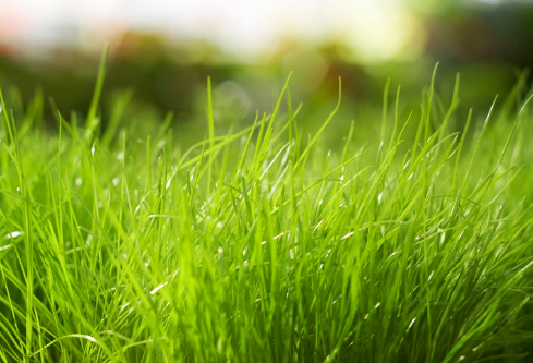 1688588193865620.png image.png