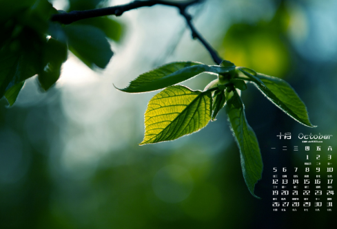 1688588879176127.png image.png