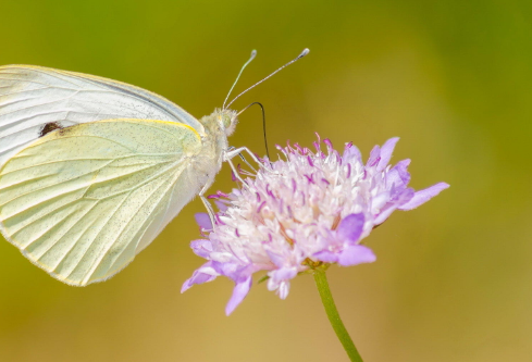 1688589222920749.png image.png