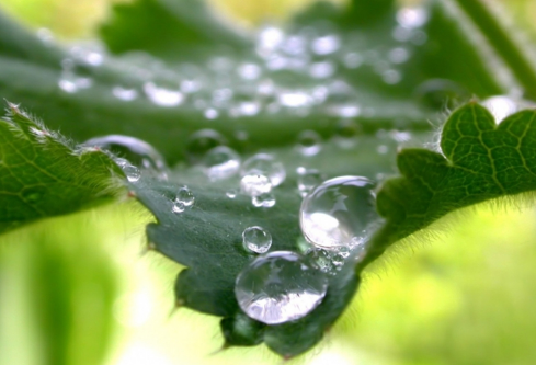 1688590080485058.png image.png