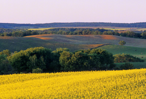 1688590423836390.png image.png