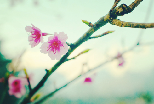 1688590766370107.png image.png