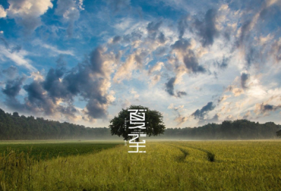 ​我们班的狗仔队读后感