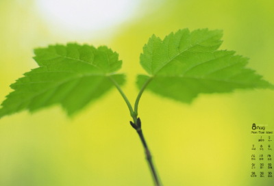 ​授权委托书范文5篇