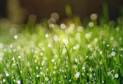 ​活出全新的自己读后感