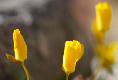 ​宣传片文案范文62条