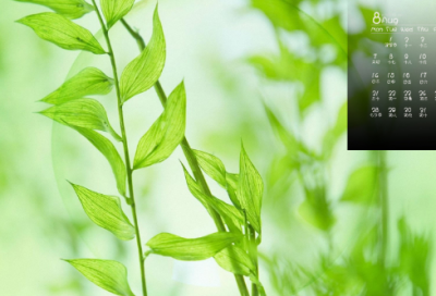 ​开甲壳虫车的女校长读后感