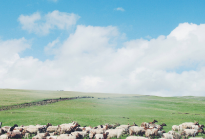 ​企业宣传片文案范文51条