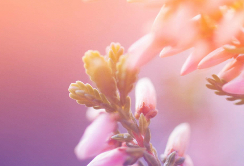 1688593511619541.png image.png