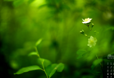 ​英文事假请假条范文5篇