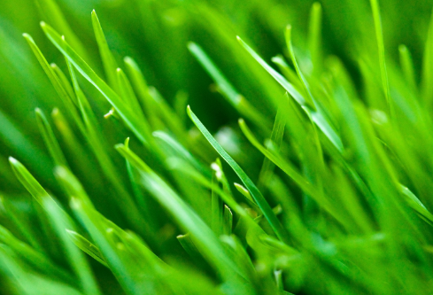 1688595397677173.png image.png