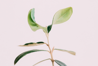 ​灵魂造句,用灵魂怎么造句