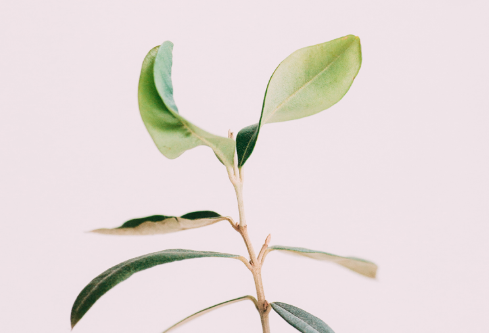 1689092131454491.png image.png