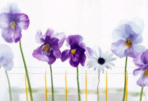 1689092798280616.png image.png