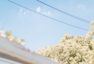 ​波光粼粼造句,用波光粼粼怎么造句