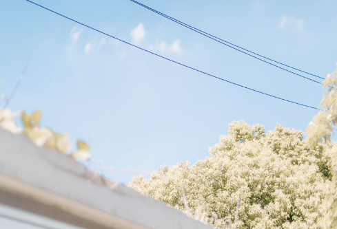 1689093464909778.png image.png