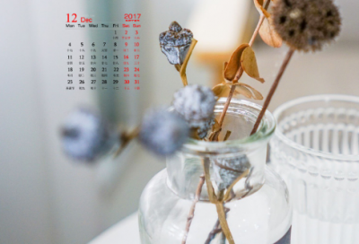 ​树荫下造句,用树荫下怎么造句