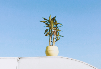 ​文豪造句,用文豪怎么造句