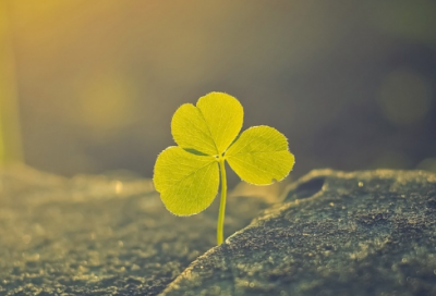 ​强造句,用强怎么造句