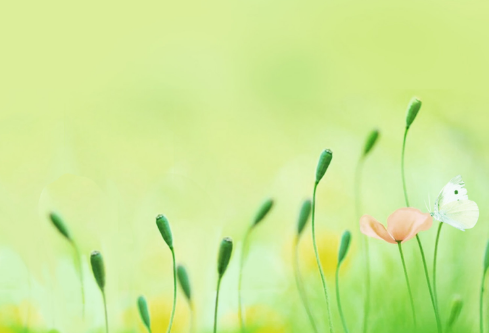 1689096794472242.png image.png