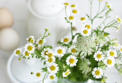 1689097627582660.png image.png