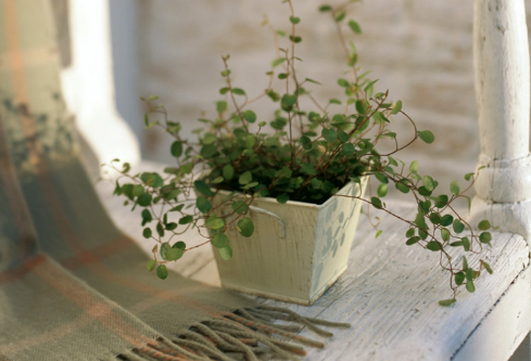 1689097794226965.png image.png