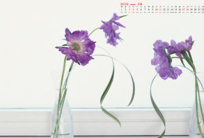 ​畦造句,用畦怎么造句