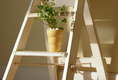 ​敬造句,用敬怎么造句