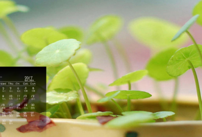 ​座无虚席造句,用座无虚席怎么造句