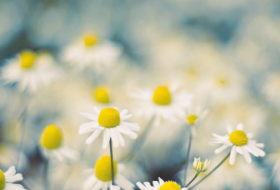 ​难于上青天造句,用难于上青天怎么造句