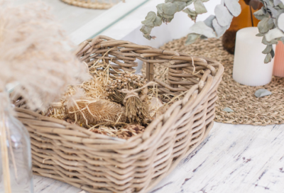 ​趾造句,用趾怎么造句