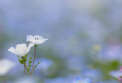 ​始造句,用始怎么造句