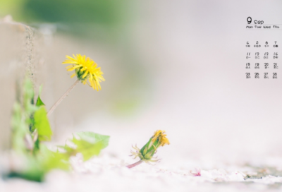 ​不三不四造句,用不三不四怎么造句