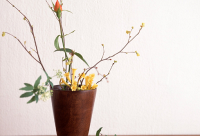 ​籍造句,用籍怎么造句